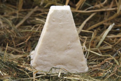 fromage-chevre-le-pointu Fromage de chèvre fermier Le Pointu EARL PETIT PERCHE