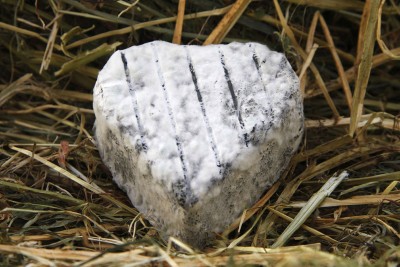 fromage-coeur-du-perche Fromage de chèvre fermier le coeur du perche EARL PETIT PERCHE ROMILLY