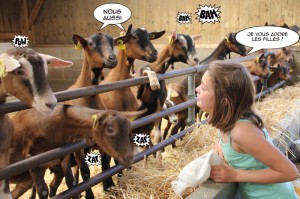 visite-fromagerie-romilly visite-fromagerie-romilly