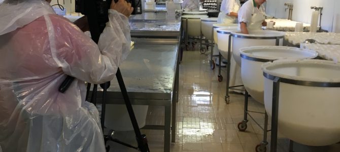 Reportage France 3 – Le Trèfle du Perche Reportage France 3 – Le Trèfle du Perche